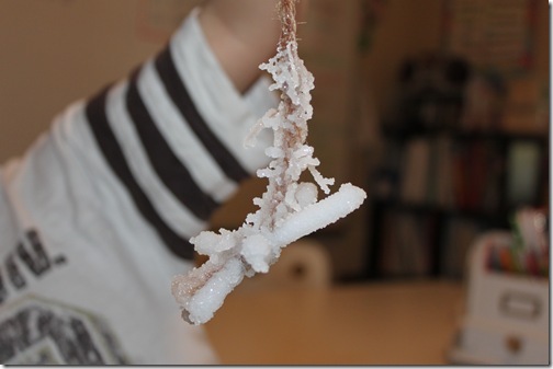 Winter Craft: Borax Snowflake Craft