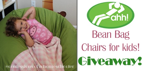 AHH! Bean Bag Chair Giveaway!