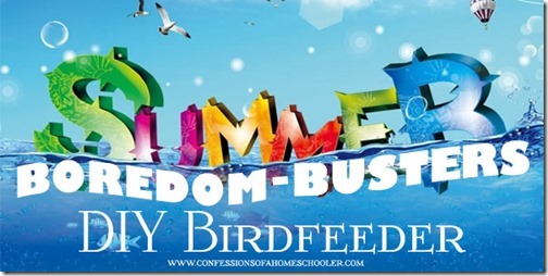 summer_birdfeeder