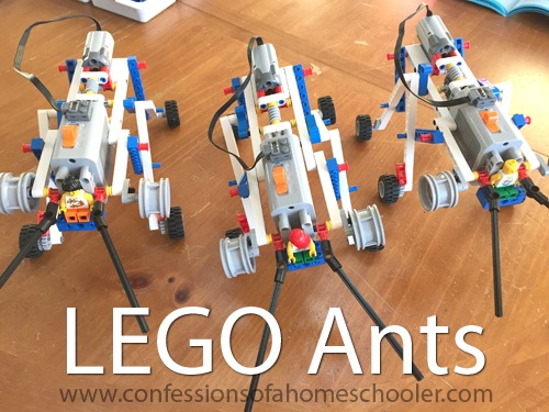 LEGO Education Simple Machines – Crane