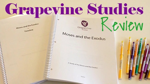 Grapevine Bible Studies Video Review