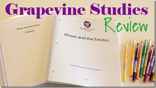 grapevinestudies