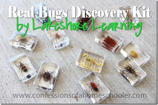 Lakeshore Learning Real Bugs Discovery Kit