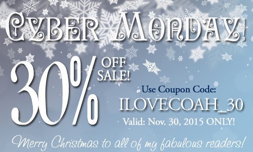 Cyber Monday 30% off sale!