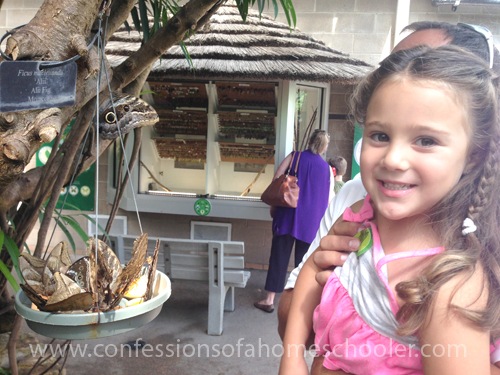 2015 Butterfly Pavilion Field Trip