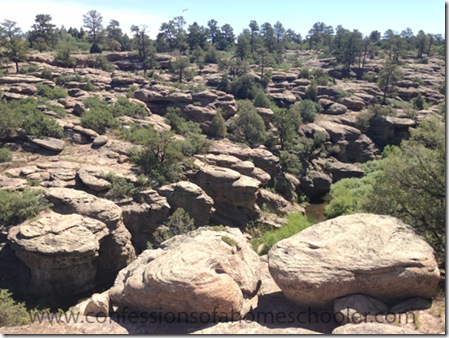 castlewoodcanyon4