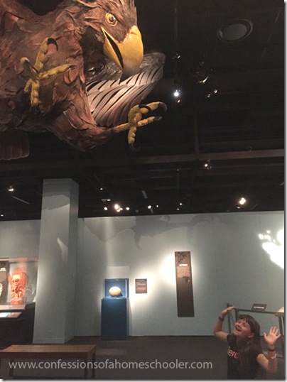 Mythical Creatures Museum Tour