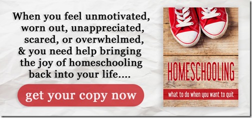 Homeschooling…When You Want to Quit!