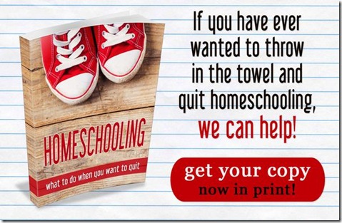 Homeschooling: When You Want to Quit Paperback