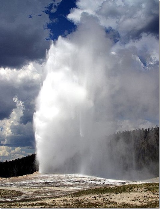 Oldfaithful