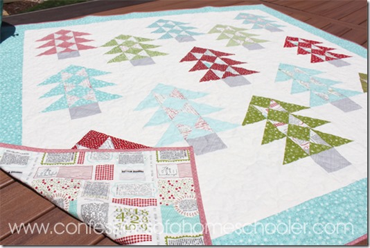 bakersdozen_quilt3