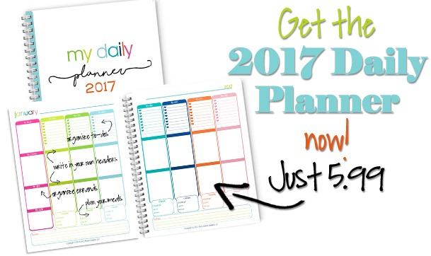 2017 Daily Planner