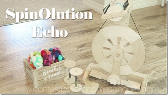 Spinolution_Echo1a