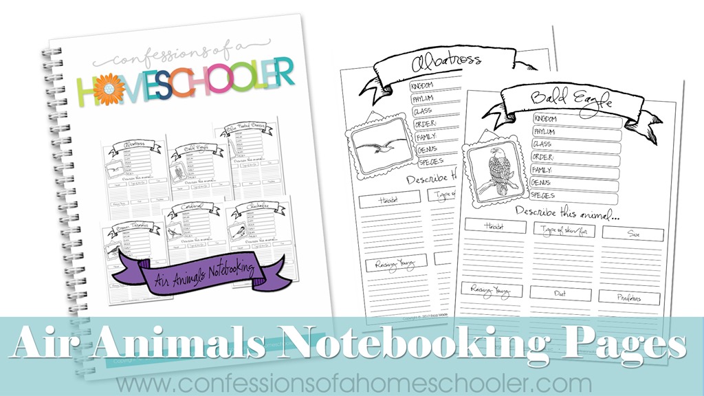 Air Animals Notebooking Pages Bundle