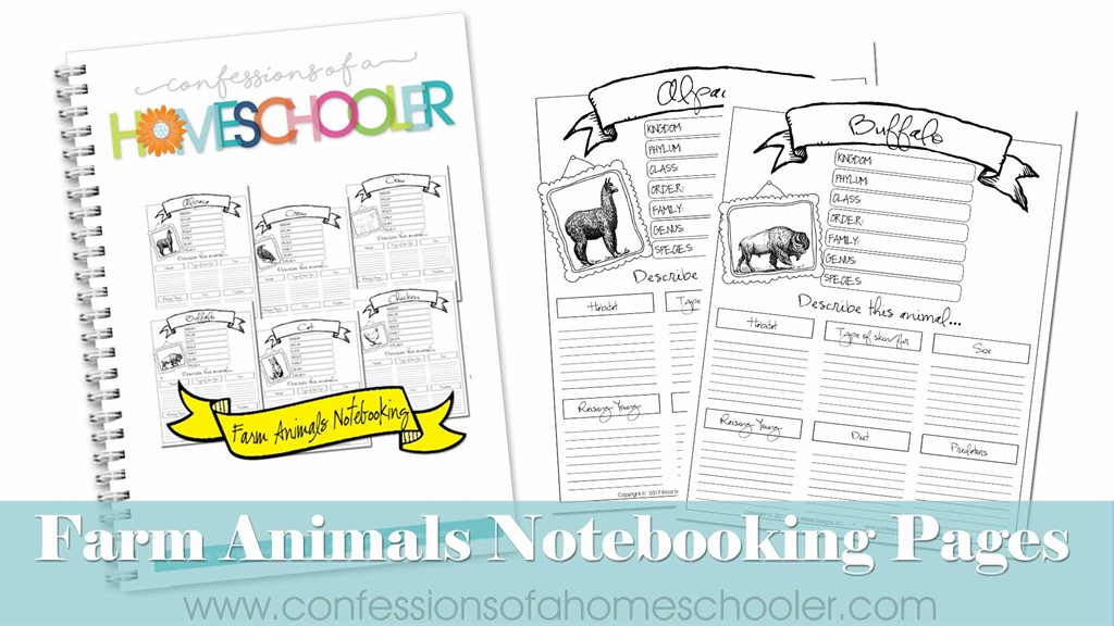 farmanimals_notebooking