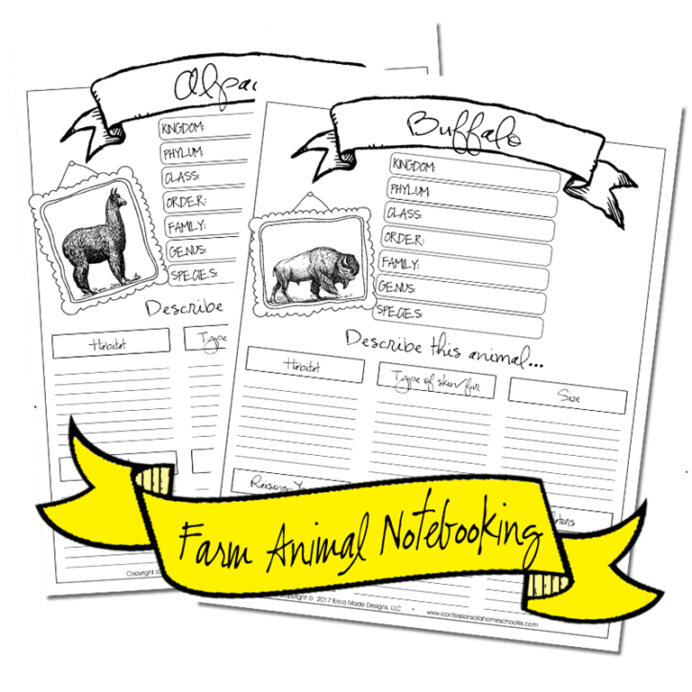 farmanimals_notebooking2