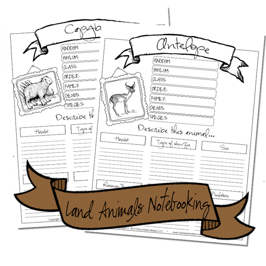 landanimals_notebooking3