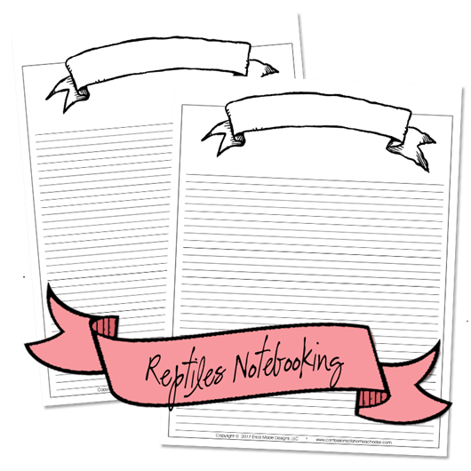 reptile_notebooking3