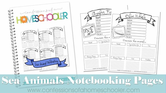 Sea Animals Notebooking Pages Bundle