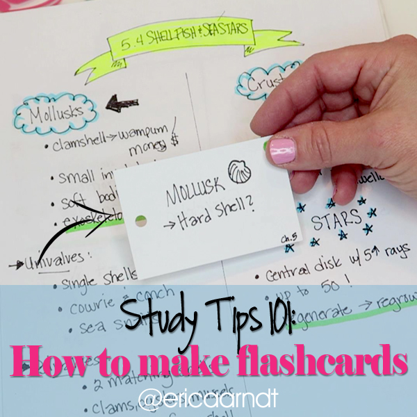 Studytips_FlashcardsIG