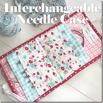 interchangeablecase_IG interchangeablecase_IG