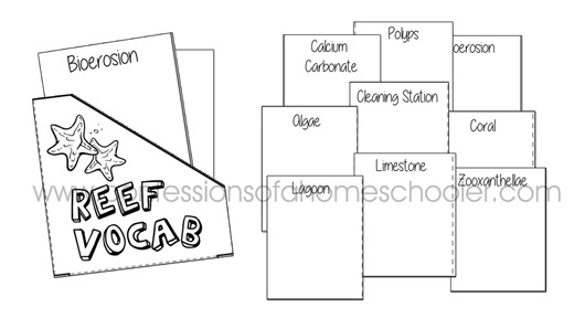 CoralReef_lapbook_coah2 CoralReef_lapbook_coah2