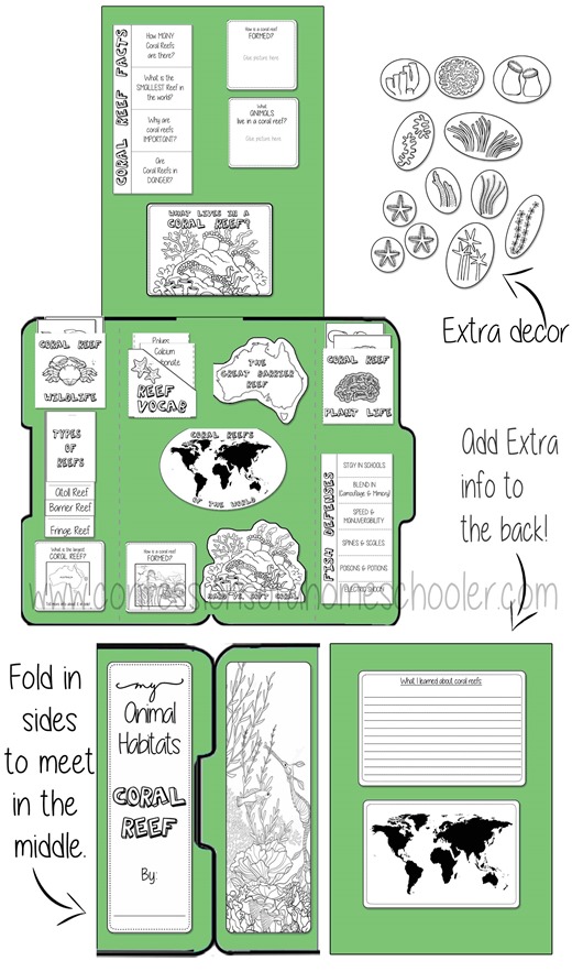 CoralReef_lapbook_cover2 CoralReef_lapbook_cover2