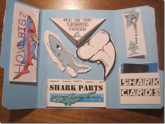 sharklapbook