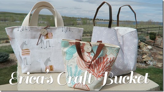 ericasprojectbucket_coah ericasprojectbucket_coah