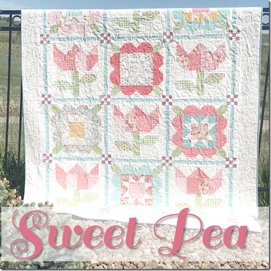 Sweet Pea Quilt Pattern Confessions of a Homeschooler