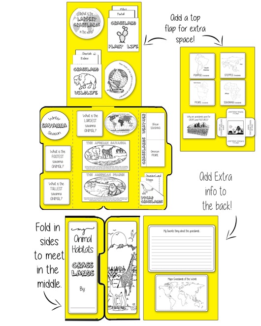 Grasslands_lapbookgraphic