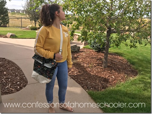 crossbodysatchel7 crossbodysatchel7