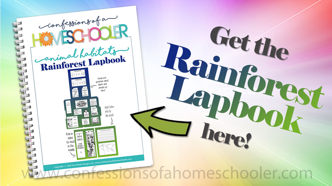 Animal Habitat: Rainforest Lapbook