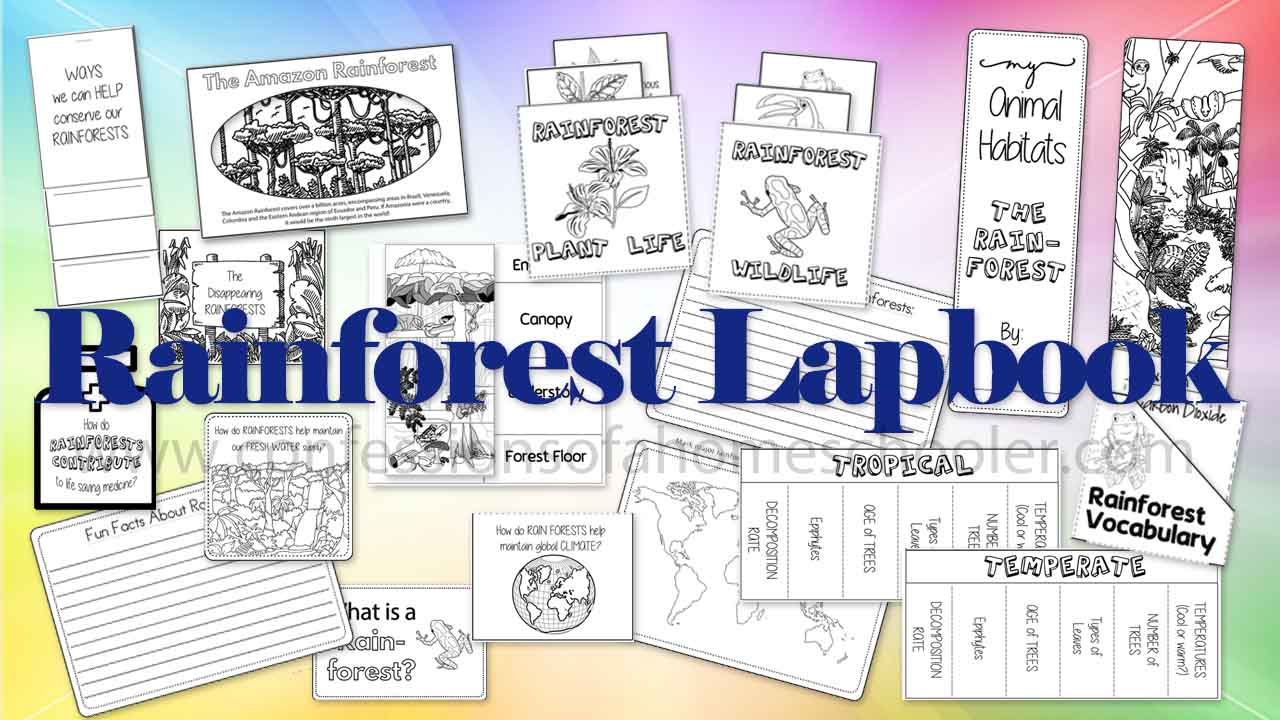 Rainforest Lapbook 2