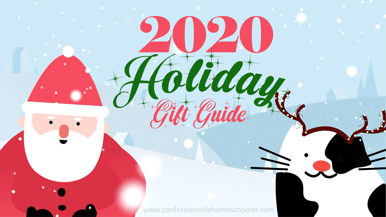 Erica’s 2020 Holiday Gift Guide