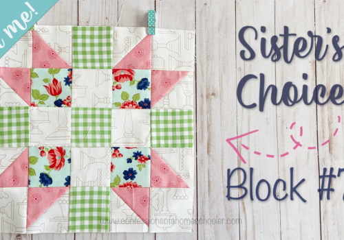 Color Catchers - Sister's Choice Quilts