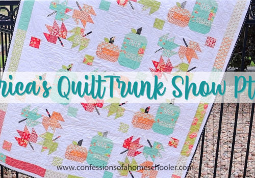 Erica’s Patterns / Quilt Trunk Show Pt. 1