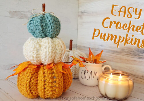 EASY Crochet Pumpkins (Beginner Crochet!)