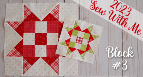 2023 Sew With Me | Block #3