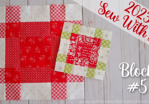 2023 Sew With Me | Block #5!