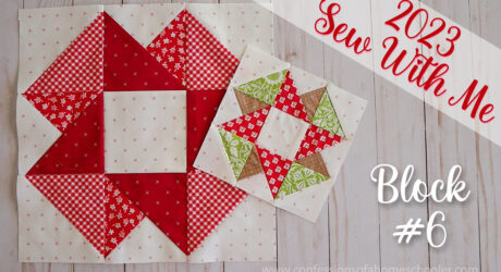 2023 Sew With Me | Block #6!