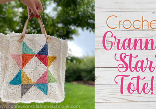 Crochet Granny Star Tote Bag Pattern (Beginner-Friendly Crochet)