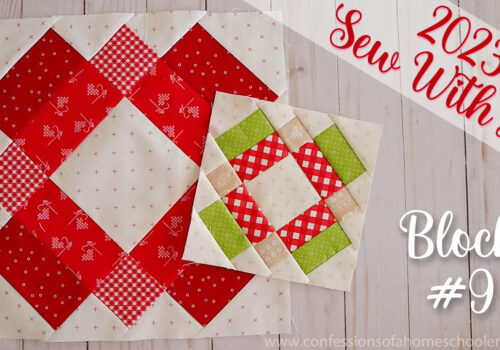 2023 Sew With Me | Block #9