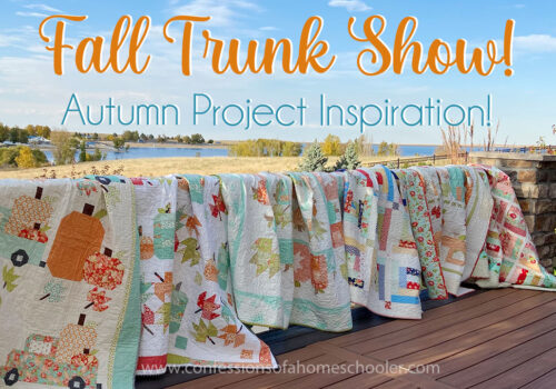 Fall Quilt and Cross Stitch Trunk Show!