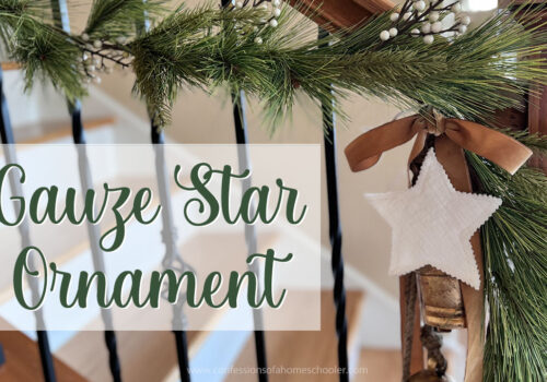 EASY Gauze Star Ornament Tutorial