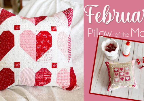 February 2024 Pillow of the Month