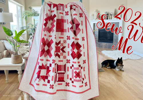 2023 Sew With Me Finishing and Bonuses