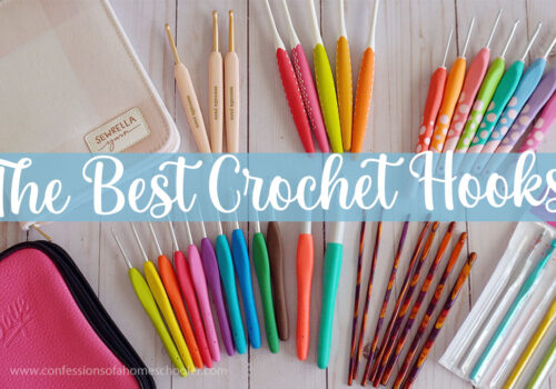Crochet Hook Review (The Best and Worst!)