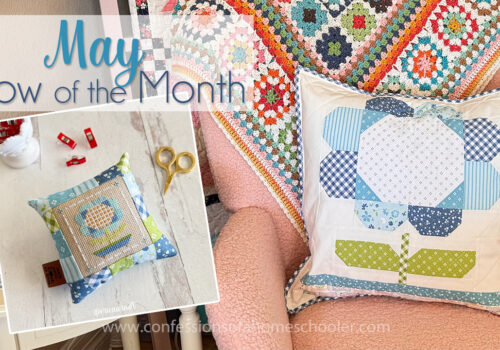 May Pillow of the Month and Stickers!